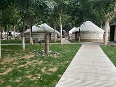 -九十九顶毡房(阜石路店)