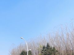 -莫子山公园