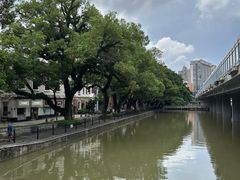 -荔湾湖公园