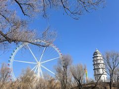 -西宁市人民公园(城西区)