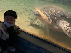 -苏州海洋馆