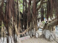 -胡里山炮台