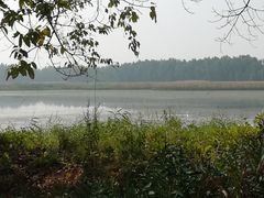 -大湾区中央湿地公园