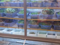 -老味道1992(武当山店)