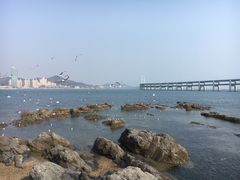 -黑石礁公园