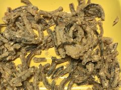 -乐山第一家临江鳝丝(茶坊路店)