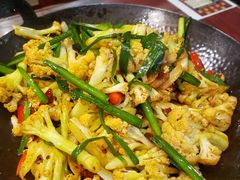 -邵年鸽(杨庄店)