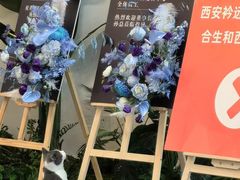 -拾花记花艺·求婚·订婚·生日布置(高新店)