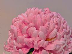 -汇龙潭
