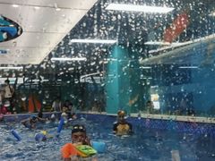 -Swim斯卫姆国际儿童游泳中心(红博中央公园店)