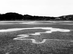 -八大山人梅湖景区