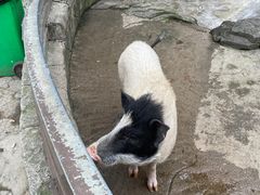 -宁波野生动物园