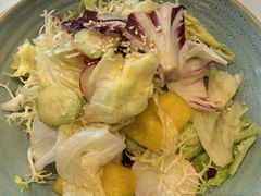 田园素沙拉-一品淮扬 · 淮扬菜·北京万达文华酒店