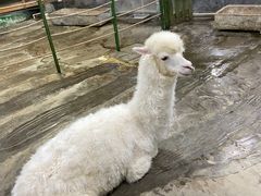 -上海大自然野生昆虫馆(东方明珠·爬宠昆虫探索中心)