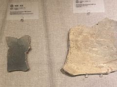-南越王博物院(王宫展区)