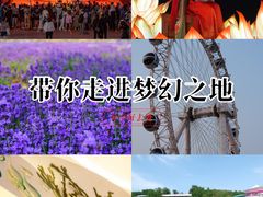 -渔岛海洋度假区