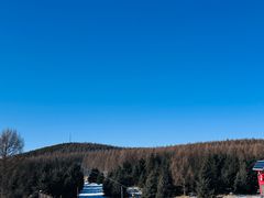 -塞罕坝国家级自然保护区