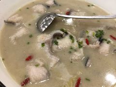 酸汤鮰鱼-九头鸟酒家(四道口店)