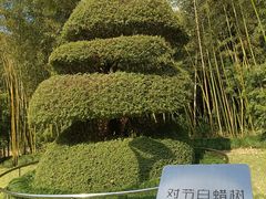 -苏州河梦清园环保主题公园