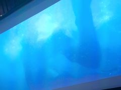 -晶品养生·SPA·影院式足道(汇臻店)
