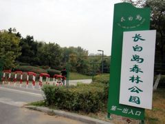 -长白岛森林公园