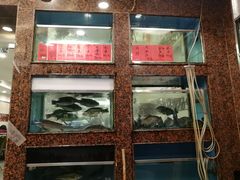 门面-嘉华海鲜酒家(龙津中路店)
