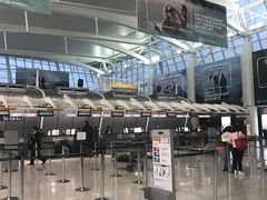 -约翰·菲茨杰拉德·肯尼迪国际机场