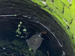 -天静宫