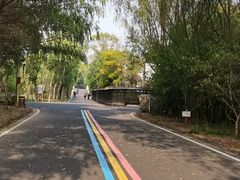 -同里国家湿地公园