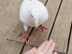 -音乐台