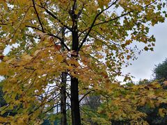 -新丰小吃(春漫里店)