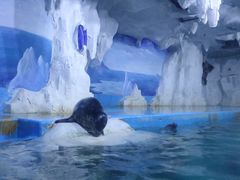 -多彩贵州城极地海洋世界