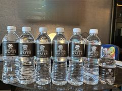 -拉斯维加斯永利酒店