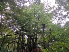 -虞山风景区