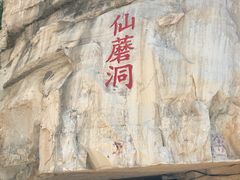 -仙蘑洞