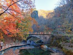 -关门山森林公园
