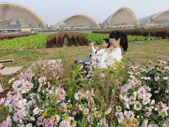 -中国天府农业博览园