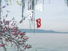 -柳浪闻莺公园