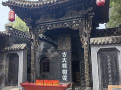 -大槐树寻根祭祖园