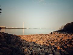 -上海吴淞炮台湾国家湿地公园
