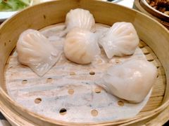 -高第街56号餐厅(凯德mall新都心店)