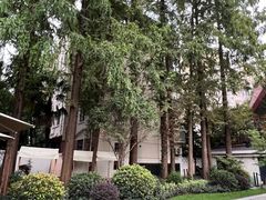 -一尺花园(安和花园店)