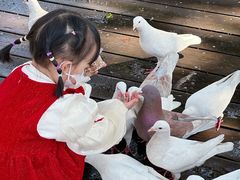 -中原一大碗(湖滨店)