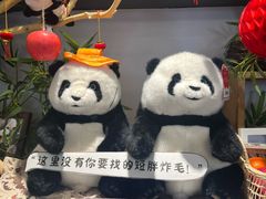 -轩客会(熊猫书店)