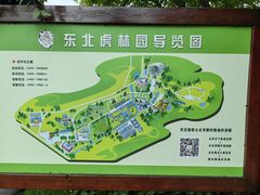 -横道河子东北虎林园