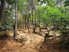 -灵岩山风景区