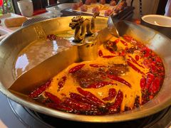 -小龙翻大江文化火锅(宽窄店)