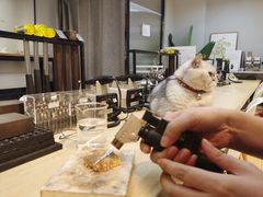 -Oasis绿洲银饰珍珠手作diy(壹方城店)