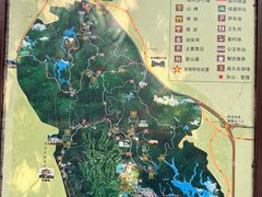 -大屏嶂森林公园