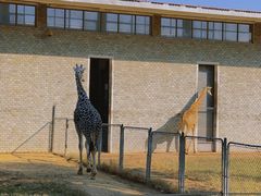 -石家庄市动物园